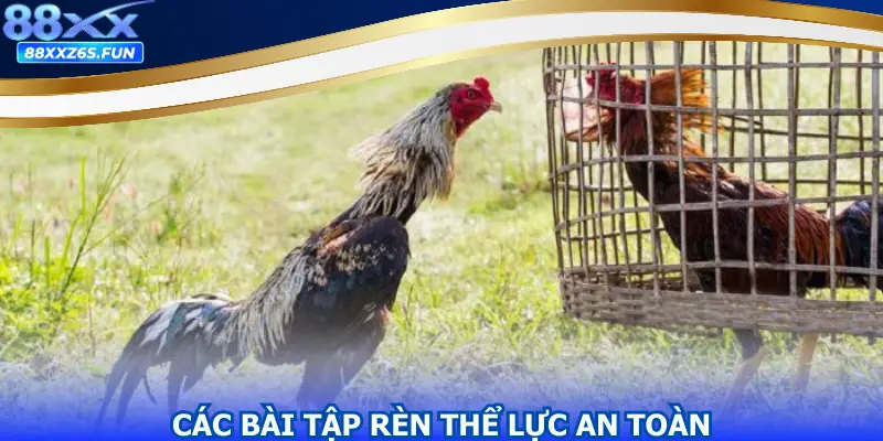 Các bài tập rèn thể lực an toàn mà hội viên cần nắm