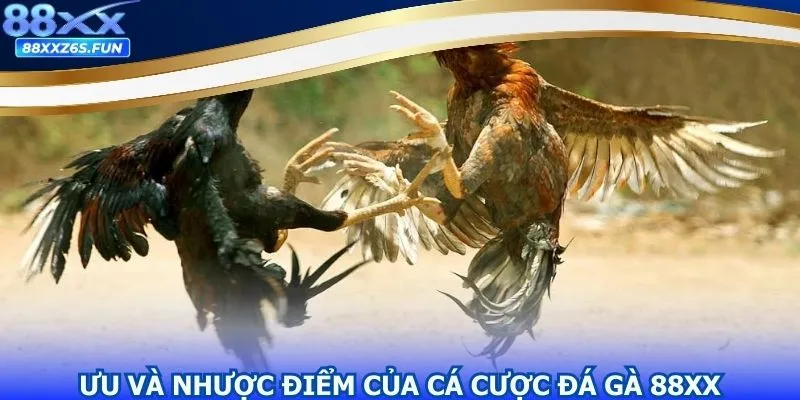 Lợi ích của việc trải nghiệm siêu phẩm đá gà tại 88XX